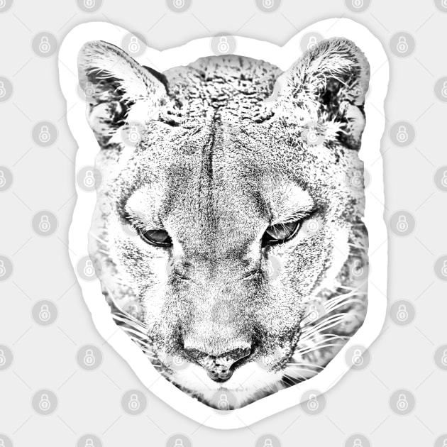 Cougar head converted to a drawing Sticker by dalyndigaital2@gmail.com